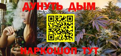 индика Аргун