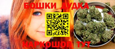 индика Аргун