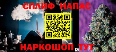 индика Аргун