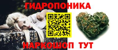 индика Аргун