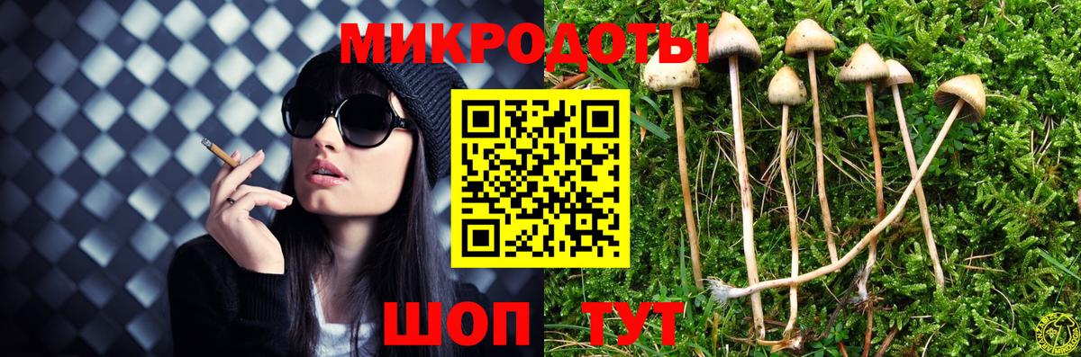 Галлюциногенные грибы Magic Shrooms Великие Луки
