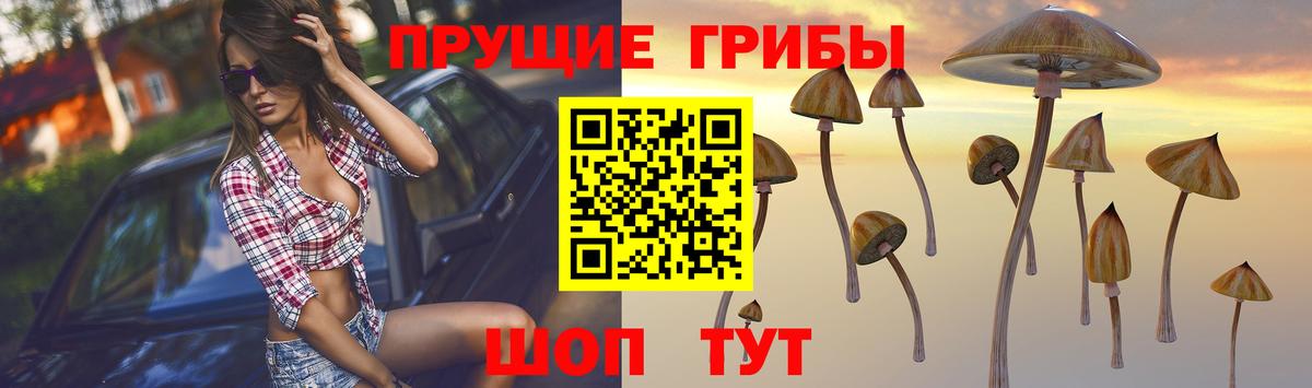 Галлюциногенные грибы ЛСД  Вход с VPN  Великие Луки 